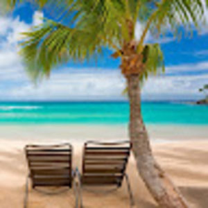 Meet your Posher, Steven